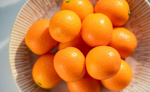 【平均糖度18度】きんかん 金柑 合計500g（250g×2パック） 高知の太陽を浴びた完熟フルーツきんかん 先行受付- 果物 フルーツ 金柑 柑橘 期間限定 数量限定 ku-0048