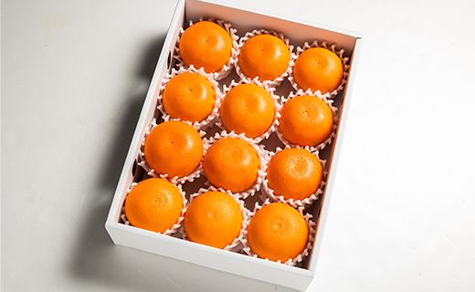 【2026年度配送分】せとか 3ｋｇ 柑橘の女王 8～14玉 とろっとジューシー 果物 果実 くだもの フルーツ オレンジ ミカン 蜜柑 みかん  お取り寄せ 特産品 国産 ku-0041