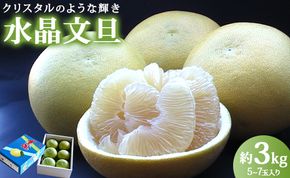 文旦【令和8年9月中旬発送開始】水晶文旦 文旦 高知 3kg 先行受付 高知県香南市産 贈答 - 果物 文旦 ぶんたん ブンタン フルーツ 柑橘 香南市産 高知県 数量限定 期間限定 季節限定 旬 常温 ku-0055