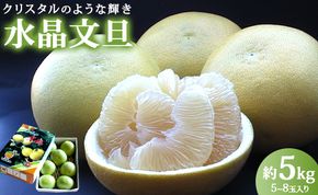 文旦 【令和8年9月中旬発送開始】水晶文旦 文旦 高知 5kg 先行受付 高知県香南市産 贈答 - 果物 フルーツ 文旦 ぶんたん ブンタン  柑橘 香南市産 高知県 数量限定 期間限定 季節限定 旬 常温 ku-0056