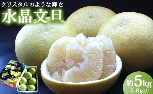 【令和8年9月中旬発送開始】水晶文旦 文旦 高知 5kg 先行受付 高知県香南市産 贈答 - 果物 フルーツ 文旦 ぶんたん ブンタン  柑橘 香南市産 高知県 数量限定 期間限定 季節限定 旬 常温 ku-0056