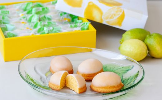 ガトーフリアン の 檸檬ケーキ 10個 / レモン ケーキ 南島原市 / ながいけ [SCH005]