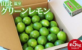 先行予約受付！【数量限定】高知県産 山北温室グリーンレモン 約5kg（S〜Lサイズ）- 果物 くだもの フルーツ 柑橘 檸檬 令和7年度発送 2025年 レモン酎ハイ お酒 お菓子 料理 産地直送 送料無料 のし対応可 高知県 香南市 ku-0035