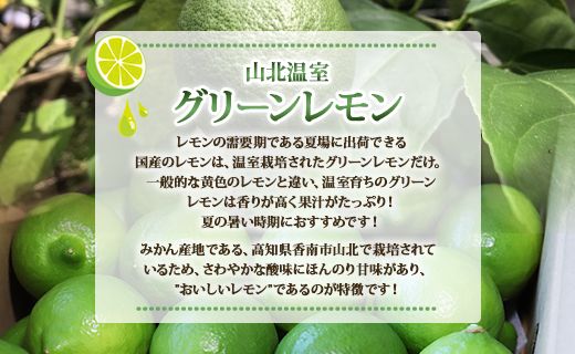 先行予約受付！【数量限定】高知県産 山北温室グリーンレモン 約5kg（S〜Lサイズ）- 果物 くだもの フルーツ 柑橘 檸檬 令和7年度発送 2025年 レモン酎ハイ お酒 お菓子 料理 産地直送 送料無料 のし対応可 高知県 香南市 ku-0035