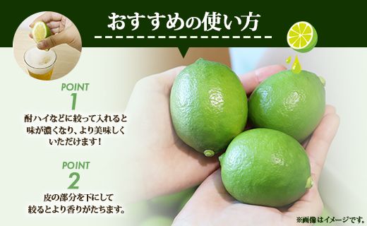 先行予約受付！【数量限定】高知県産 山北温室グリーンレモン 約5kg（S〜Lサイズ）- 果物 くだもの フルーツ 柑橘 檸檬 令和7年度発送 2025年 レモン酎ハイ お酒 お菓子 料理 産地直送 送料無料 のし対応可 高知県 香南市 ku-0035