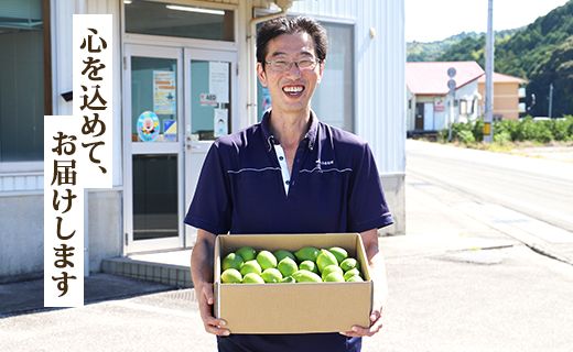 先行予約受付！【数量限定】高知県産 山北温室グリーンレモン 約5kg（S〜Lサイズ）- 果物 くだもの フルーツ 柑橘 檸檬 令和7年度発送 2025年 レモン酎ハイ お酒 お菓子 料理 産地直送 送料無料 のし対応可 高知県 香南市 ku-0035