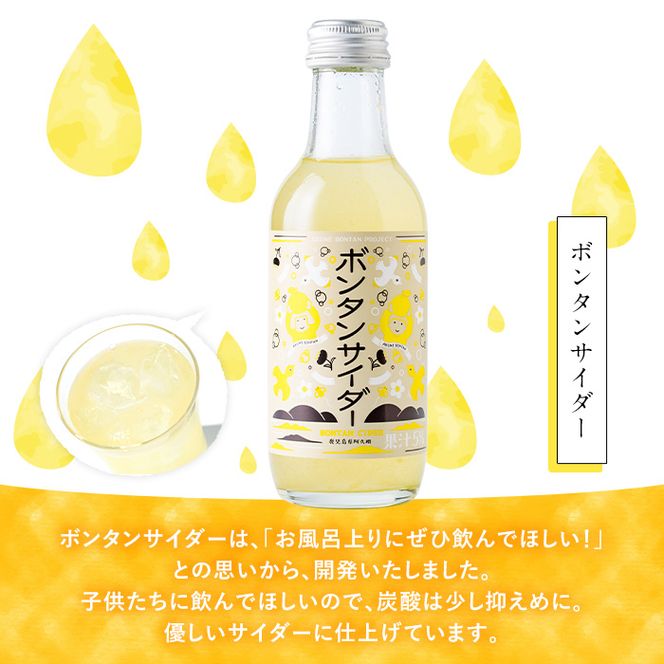 ボンタンサイダー(12本)一つ一つ手作業で皮を剥き、果汁をしぼり仕上げました！ぼんたん ボンタン 文旦 サイダー ジュース 飲み物 飲料 果汁 フルーツ 果物 炭酸【ボンタンプロジェクト】akn055-01