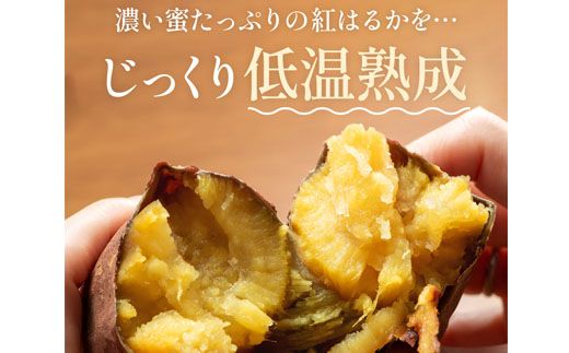 出逢いに感謝セット【美濃蜜芋 紅はるか～干し芋～】たっぷり500ｇ（100g×5袋） ～出逢いに感謝セット～