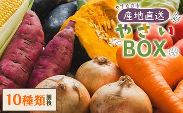 野菜セット 野菜 野菜詰め合わせ １０種類前後 【先行予約】ベジタブル ヘルシー 詰め合わせ セット 季節 旬 おまかせ 10種類前後 国産 特産品 高知県 冷蔵 やすらぎ市 産地直送やさいＢＯＸ yr-0011