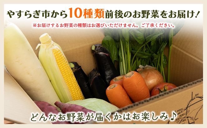 野菜セット 野菜 野菜詰め合わせ １０種類前後 【先行予約】ベジタブル ヘルシー 詰め合わせ セット 季節 旬 おまかせ 10種類前後 国産 特産品 高知県 冷蔵 やすらぎ市 産地直送やさいＢＯＸ yr-0011