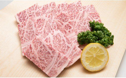 「佐賀牛」焼肉セット（ステーキ200g×4・焼肉用700g）【チルドでお届け!】N-91