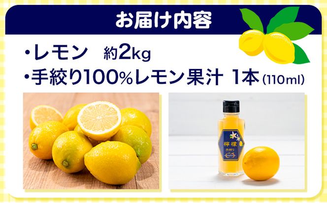 レモン 約2kg と 手搾り100％レモン果汁 1本 セット《12月中旬‐2月末頃出荷》熊本県 玉名郡 玉東町 菅本果実園 檸檬 レモンジュース レモネード はちみつレモン---sg_sugarrj_bc122_24_12500_2set---