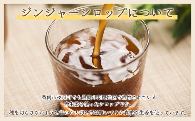 【３回定期便】ジンジャーシロップ150ml×3本 - 赤生姜 ショウガ あか しょうが 贈り物 おすそ分け 特産品 ジンジャーエール 料理 調味料 手作りドリンク 御歳暮 熱中症対策 Wyr-0062