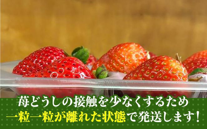 【予約受付】【2025年2月1日より順次発送】農家直送 朝採り新鮮いちご【博多あまおう】約270g×4《築上町》【株式会社H&Futures】[ABDG004]