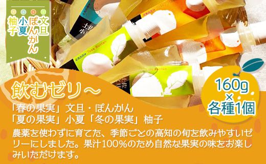 土佐の果実・飲むゼリー(4個セット) ts-0006