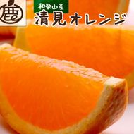 ［先行予約］厳選 清見オレンジ7.5kg+250g（傷み補償分）［光センサー食頃出荷］［樹上完熟きよみオレンジ・清見タンゴール・清美］ CZ035