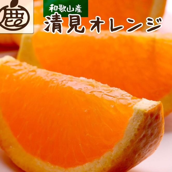 ＜4月より発送＞厳選清見オレンジ4kg+120g（傷み補償分）【光センサー食頃出荷】【樹上完熟きよみオレンジ・清見タンゴール・清美】 CZ035