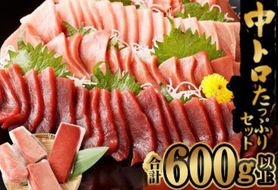 船元が直送! 厳選 天然 本マグロ 中トロたっぷりセット 約600g | 中トロ 400g 赤身 200g | 本鮪 本まぐろ クロマグロ 魚 惣菜 まぐろ ワケアリ わけあり 訳あり 中とろ あかみ 刺身 さしみ 刺し身 冷凍 漬け 海鮮 丼 父の日 高知県 室戸市