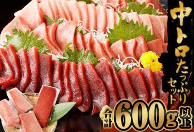 船元が直送! 厳選 天然 本マグロ 中トロたっぷりセット 約600g | 中トロ 400g 赤身 200g | 本鮪 本まぐろ クロマグロ 魚 惣菜 まぐろ ワケアリ わけあり 訳あり 中とろ あかみ 刺身 さしみ 刺し身 冷凍 漬け 海鮮 丼 父の日 高知県 室戸市
