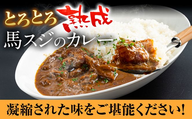 たっぷり！馬スジカレー 10食セット 千興ファーム《60日以内に出荷予定(土日祝除く)》馬スジ カレー お肉 馬すじ カレーライス 馬肉 贈答 ギフト グルメ お取り寄せ 熊本県 御船町 送料無料 個包装 大人気 簡単調理---mifune_snk_19_10set---