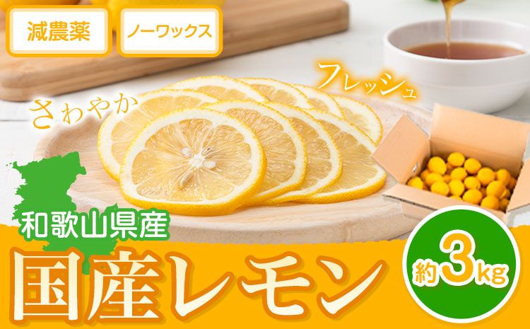 レモン 国産 レモン 3kg(L〜4Lサイズ) ノーワックス 減農薬 どの坂果樹園[2027年2月上旬-5月末頃出荷] 和歌山県 日高町 レモン れもん 檸檬 旬 果物 フルーツ 柑橘 産地直送 送料無料---wsh_dsk3_ac25_24_10000_3kg---