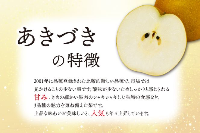 ★先行予約★ 【2026年9月発送】仁平果樹園の梨 「あきづき」5kg (8個～14個) (9月中旬より順次配送) | 果物 新鮮 フルーツ ギフト 梨 ナシ 益子町産梨 甘い あまい 糖度11.5以上 糖度保証 果汁 果肉 栃木県 益子町 (DB003)