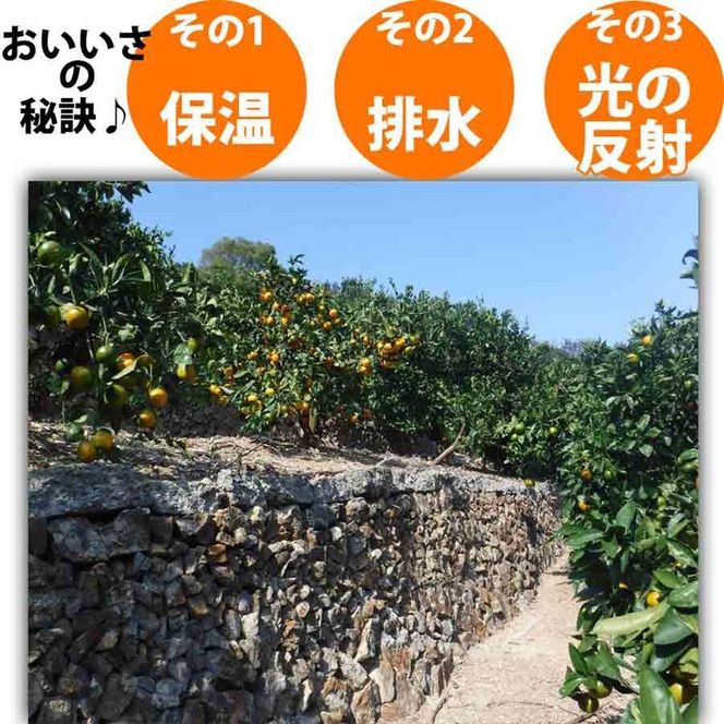 みかん 4kg ご家庭用　和歌山県有田川町産　有田みかん ありだみかん CE056