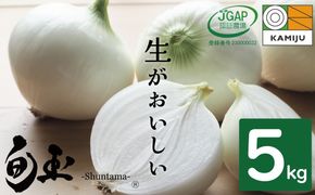 新玉ねぎ　生がおいしい　神重農産のブランド玉ねぎ「旬玉」5kg ブランド玉ねぎ 玉ねぎ 国産 愛知県産 野菜 やさい 農家直送 畑直送 旬 期間限定 たまねぎ 先行予約 旬 特産 高評価 高リピート 人気　H105-148