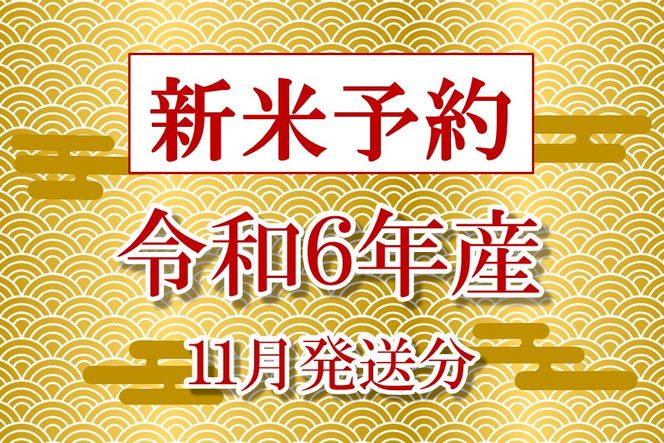 [A245] 【新米予約（11月発送）】【無農薬】【白米】能登のこだわり自然栽培こしひかり『羽咋米』 10kg