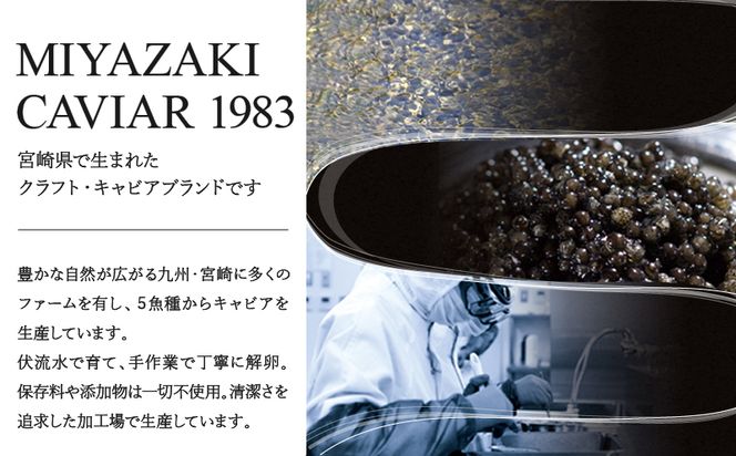 数量限定 MIYAZAKI CAVIAR 1983 Premium (20g×3個セット)_M017-026_01
