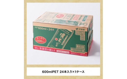 【12ヶ月定期便】 伊藤園 おーいお茶 濃い茶600ml×24本【 飲料 飲み物 ソフトドリンク お茶 ペットボトル 備蓄 全12回 送料無料】宮崎県川南町 [E7301t12]