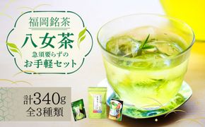 福岡銘茶 八女茶 ティーバッグ付 急須要らずのお手軽セット（便利なチャック付）《築上町》【株式会社マル五】[ABCJ031]