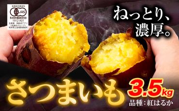 さつまいも 紅はるか 3.5kg 創成アグリ[12月中旬-2月末頃出荷]熊本県 御船町 野菜 芋 さつま いも 焼き芋 有機JAS規格 送料無料---sm_agrimo_bc122_24_9000_3500g---