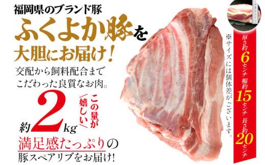 ふくよか豚スペアリブブロックカット2枚約2kg 豚スペアリブブロック 計2kg（約1kg×2枚） 豚スペアリブ 豚肉 ブタ肉 ぶた肉 塊肉 ブロック肉 お肉 スペアリブ ふくよか豚 BBQ 煮込み料理 アウトドア 冷蔵