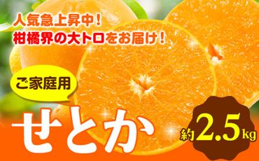 【先行予約】 家庭用 せとか 2.5kg+75g（傷み補償分）【柑橘・春みかんの王様】【光センサー選果・食べ頃出荷】 池田鹿蔵農園 @日高町 《2月上旬-5月上頃出荷》和歌山県 日高町 家庭用 せとか 訳あり せとか わけあり セトカ ミカン 柑橘 柑橘類 送料無料【配送不可地域あり】---wsh_ikd64_ad25_23_11000_2500g---