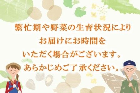 年間定期便48回 里山で採れた野菜セットレギュラー 12品 【有機野菜 おまかせ野菜セット イタリア野菜 西洋野菜 定期便】(H078108)