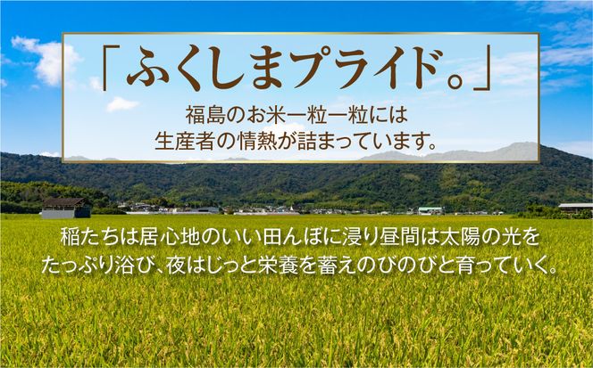 【 無洗米 】令和7年産 コシヒカリ 20kg ( 5kg × 4袋 )   米 お米マイスター 食味鑑定士 福島県産 田村市 安藤米穀店