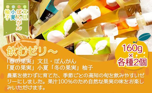 土佐の果実・飲むゼリー(8個セット) ts-0007