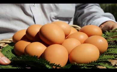 yRbszq18×6@@lC@߁@Y@@Mtg@񂹁@@܂@^}S@ʎq@{@R@q@@VN@܂с@B-21