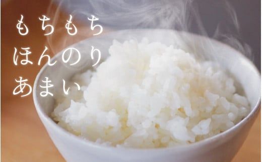 【新米】ほたるいか米（無洗米５kg）×3回 計15kg【3ヶ月定期便】