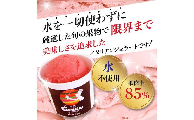 【J06005】限界シャーベット 8個セット