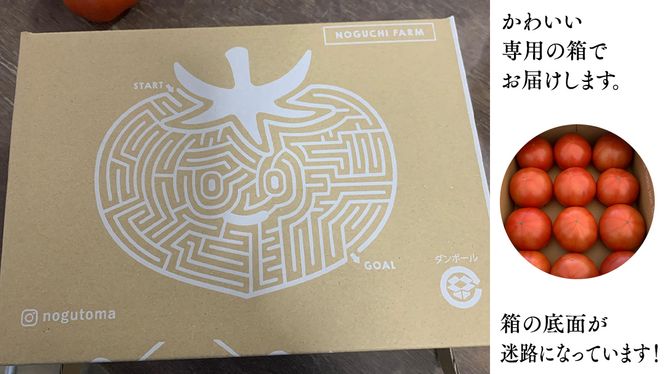 ぜいたくトマト！ 約2kg × 2箱 合計 約4kg ( 18～24個 ) トマト 大玉トマト  新鮮 美味しい 野菜 [J011-NT]