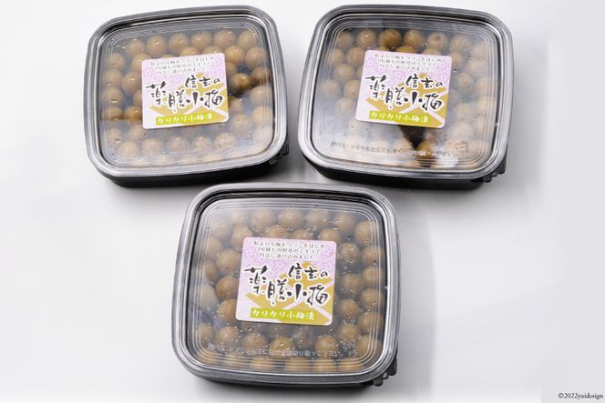 【カリカリ】信玄の薬膳小梅 150g×3 [山梨農産食品 山梨県 韮崎市 20742099] 梅干し 梅干 うめぼし 梅 小粒 小梅 カリカリ梅 国産 個包装