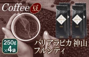 099H1866 バリアラビカ神山フルシティ    250g×4袋／豆 【珈琲 こーひー コーヒー 自家焙煎 オリジナル ギフト キャンプ アウトドア 家計応援】
