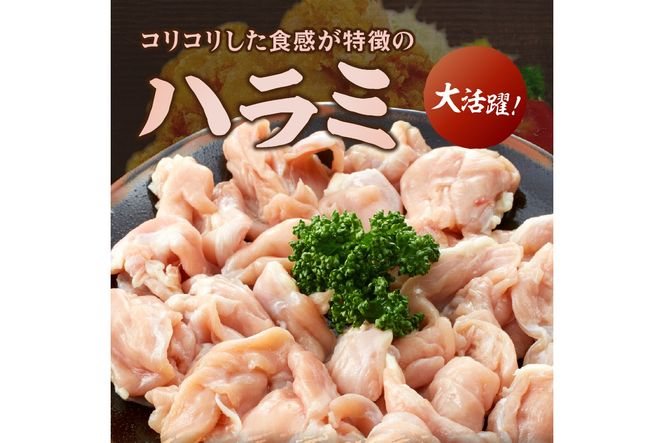 【A-847】はかた地どり ハラミ 1kg(500g×2)