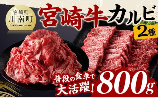 宮崎牛カルビ焼肉・切り落としセット合計800ｇ 【 肉 牛肉 国産 黒毛和牛 宮崎牛 焼肉 宮崎県 川南町 】 [D11405]	
