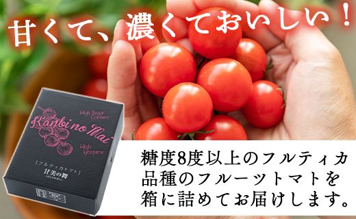  トマト フルーツトマト 定期便 高糖度 高機能性 1kg 2カ月定期便 合計2kg - 甘美の舞 期間限定 季節限定 野菜 やさい フルティカ 完熟 ミニトマト プチ 新鮮 お弁当 贈り物 サラダ 産地直送 高知県 香南市 Wkr-0031