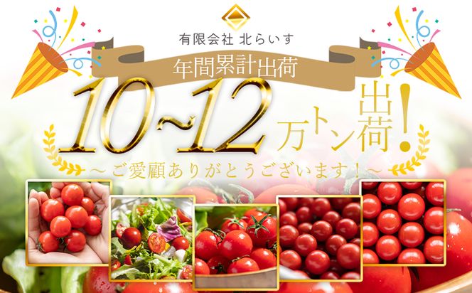 【2026年12月から順次配送】【数量限定】高糖度＆高機能性 フルーツトマト1kg kr-0083