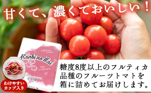 【2025年12月以降順次配送分】フルーツトマト ミニトマト 高糖度 150g×12パック 甘美の舞