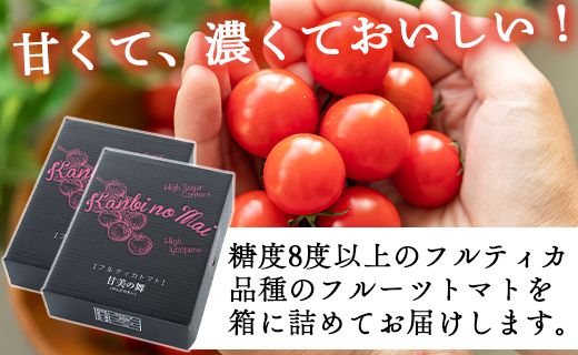 【先行受付】高糖度＆高機能性 フルーツトマト2kg - フルーツトマト トマト 甘美の舞 野菜 フルティカトマト 完熟 糖度8以上 ミニ プチ おすそ分け 大容量 kr-0030